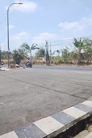 A person on a motorcycle drives across a paved road. The road is asphalt and has white lines painted on it. There are trees and a blue sky in the background. A street light is visible on the left side of the frame.