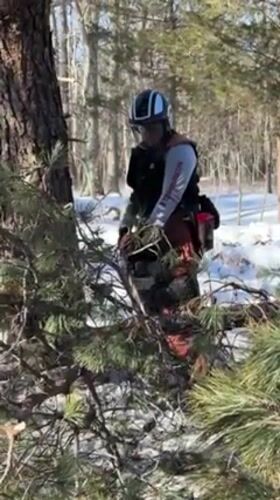 Tree cutting operations documented in snowy Rocky Point woods