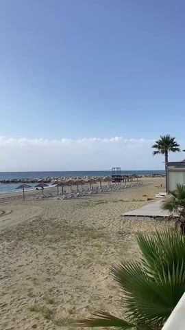The video shows a tranquil beach scene with a clear blue sky and calm ocean waves. The sand is light brown with some patches of dry grass. There are several rows of empty lounge chairs and thatched umbrellas set up on the sand, indicating a resort or public beach area. In the distance, a breakwater made of large rocks stretches across the water, separating the calmer swimming area from the open sea. A single palm tree is visible on the right side of the frame, adding to the tropical ambiance. The video is static and shows no visible movement from people or wildlife.