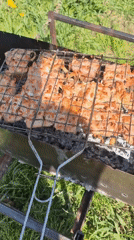 Backyard barbecue session observed in residential garden area