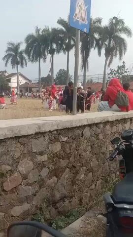 The video captures an outdoor scene, likely a field or open space, with a group of people gathered. In the foreground, a portion of a stone wall is visible, with dry vegetation growing in front of it. A motorcycle is parked to the right of the frame, partially obscuring the stone wall. Behind the wall, a paved area leads to the gathering. A prominent blue sign with a white pedestrian symbol is mounted on a pole, situated amongst several tall palm trees.

The main focus of the video is a group of people, many of whom are dressed in red, gathered in the field. Some individuals appear to be children, and several are seated or kneeling on the ground. Others are standing and interacting. There is a sense of an organized event or activity taking place. In the background, buildings and more palm trees are visible, suggesting a suburban or village setting. The sky is overcast. The camera appears to be positioned from a slightly elevated viewpoint, looking down towards the gathering. The overall atmosphere seems to be casual and communal, with a focus on the event in the field.