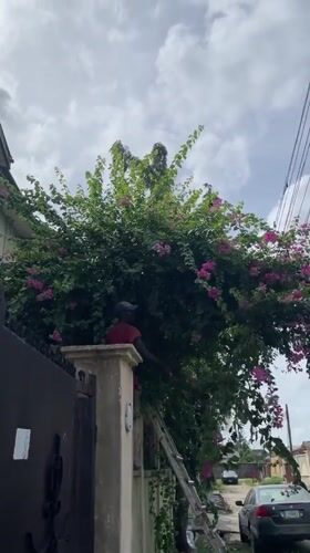 Morning routine unfolds in Ado Nigeria residential neighborhood