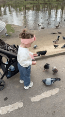 Ordinary afternoon moments captured across Klin, Russia parks and cafes