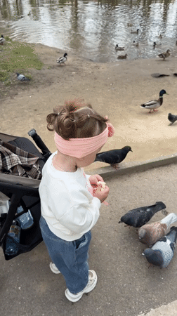 Ordinary afternoon moments captured across Klin, Russia parks and cafes