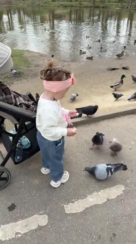 Ordinary afternoon moments captured across Klin, Russia parks and cafes