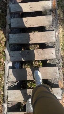 The video shows a person walking on a wooden pathway made of planks laid on a log in a forest. The camera faces downwards, capturing the person's shoes and legs as they step across the planks. The forest is dense with trees and patches of green grass. As the person reaches the end of the wooden pathway, the camera angle changes to reveal a muddy path with exposed tree roots. Three people are seen walking ahead on the path, further into the forest. The lighting suggests it is daytime with some sunlight filtering through the trees, casting shadows on the wooden pathway and the ground.