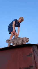 Children play with cat, take photos in Russian villages