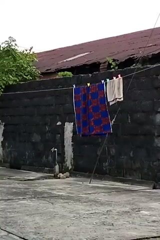 The video shows a backyard scene on an overcast day. A dark grey brick wall is prominently featured, with laundry hanging on a clothesline strung across it. The laundry consists of a patterned blue and red cloth and a lighter-colored towel. The wall is partially obscured by a green bush growing over it and a building with a red roof. The ground is a cracked concrete surface, and a water tap is visible near the base of the wall. The camera pans slightly, revealing a corner of a yellow building on the left side of the frame. A water tank is visible on top of the building in the distance.
