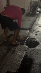 A rainy evening in Nilópolis, cats and a taxi