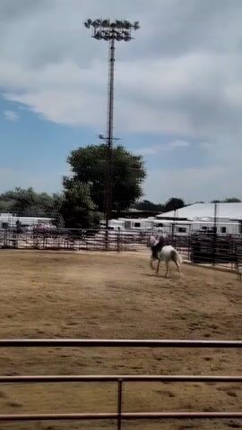 A person on a white horse is in a dirt arena. The horse is galloping in a circle, kicking up dust. There is a fence around the arena, and behind the fence are some trailers and trees. There is also a tall tower with lights on it in the background, and a building with a press box. The sky is blue with some white clouds.