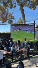 Soccer fans gather for outdoor viewing party in Los Angeles