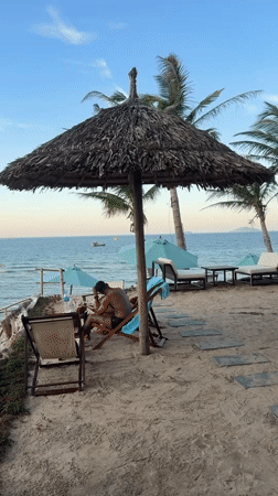 Beach scene with umbrellas, swimmers captured by witnesses