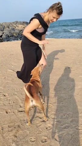 A woman in a black dress stands on a sandy beach next to a brown dog. The dog appears to jump on the woman. The woman holds a sandal in one hand. The ocean and a rocky breakwater are visible in the background. The sky is blue.