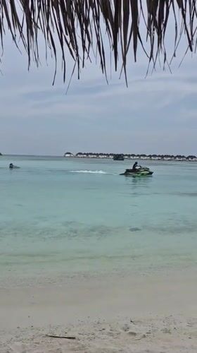 Jet ski rider and hunting heron spotted at Maldives beach