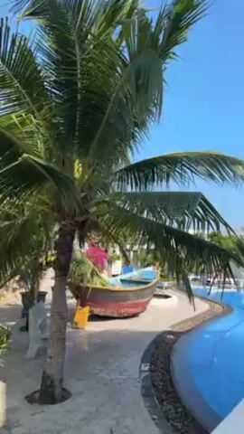 The video shows a resort setting on a sunny day. The camera pans from a palm tree and a boat by a swimming pool to a white staircase with brown tiled steps. A pair of black sunglasses rests on one of the steps.