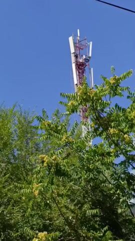 The video pans from a cell tower to a lush green tree with yellow flowers, with a clear blue sky in the background.