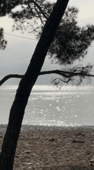 Tourist captures quiet afternoon scenes in Šušanj, Montenegro