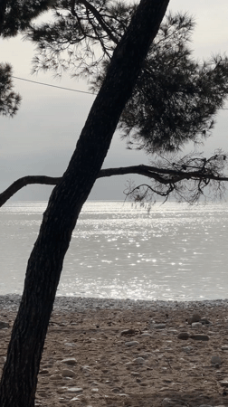 Tourist captures quiet afternoon scenes in Šušanj, Montenegro