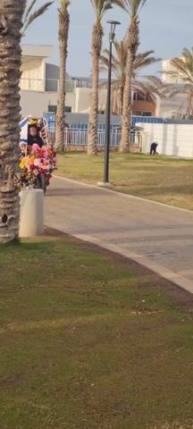 The video shows a person riding a three-wheeled electric scooter decorated with flowers and flags on a paved path. The person appears to be wearing a black hat and dark clothing. The scooter is heavily adorned with colorful flowers and has two flags attached, one Israeli and one American. The path is bordered by green grass and palm trees. Buildings are visible in the background. A street lamp is situated on the path. In the distance, a person is bent over near a white building. The camera angle is slightly to the side of the path.