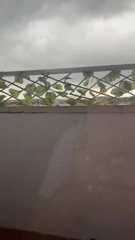 The video shows a view from a balcony with a cement wall and a decorative metal trellis covered with artificial green leaves. The sky is overcast with dark grey clouds. In the distance, a view of a town or landscape is visible between the trellis and the wall. A few faint sunspots appear on the wall. The leaves on the trellis move gently in the wind. The video is shot from a stationary position.