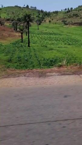 The video shows a view from a moving vehicle. The landscape features green fields, sparse trees, and gently rolling hills under an overcast sky. A silver car passes in the opposite direction, with a person visible behind the wheel. The road is paved and appears to be in good condition.