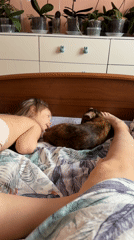 Child and cat share quiet bedroom moment in Chaikovsky