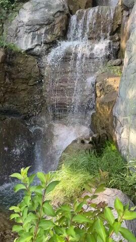This is a video of a waterfall cascading over rocks. The water is clear and there are some green plants around the waterfall. The rocks are of various sizes and shapes, and some of them are covered in moss. The video is shot from a variety of angles, providing a good view of the waterfall and its surroundings.