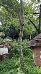 Exploring the Jos Museum's outdoor exhibits and heritage grounds