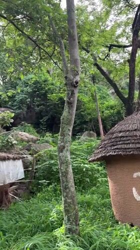 Exploring the Jos Museum's outdoor exhibits and heritage grounds
