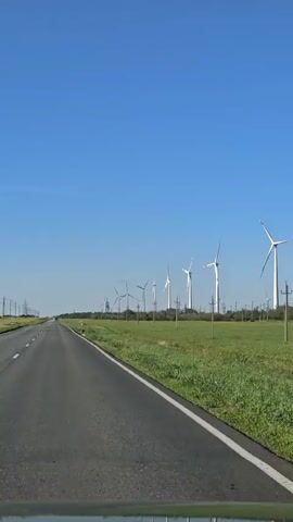 The video shows a view from a moving vehicle, looking out at a wind farm under a clear blue sky. The wind turbines are tall, white structures with three blades, spread across a grassy field. Power lines and poles are also visible in the field, suggesting an electrical grid. The road in the foreground is asphalt, with a white line marking the edge. The grass appears green and well-maintained. The wind turbines are the dominant feature of the landscape, rotating slowly.