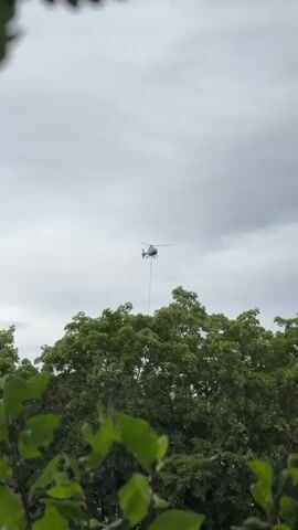 A helicopter is seen suspended in the air above a canopy of green trees. A long cable hangs from the helicopter, reaching down towards the trees. The sky is overcast with grey clouds. The foreground of the video is blurred, showing green leaves.