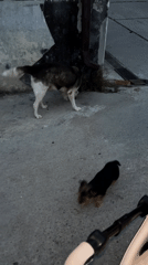 Ordinary moments documented across Sochi during evening hours