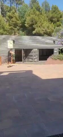A person on a skateboard is performing a trick in front of a building. The building appears to be made of wood with several openings. Another person on a skateboard is in the background. The ground is paved with stone tiles, and there are trees and plants in the background. The sun is shining, casting shadows on the ground. The video appears to be shot outdoors during the daytime.