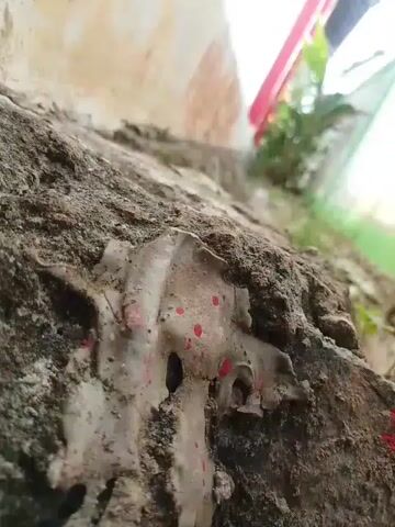 The video shows a close-up, low-angle view of a rough, textured surface, possibly concrete or rock, with patches of a light-colored material and scattered red spots. The surface appears weathered and worn. In the background, a blurred green and white structure is visible, along with what looks like a pink object. The scene suggests an outdoor environment, potentially a neglected or aged outdoor space.