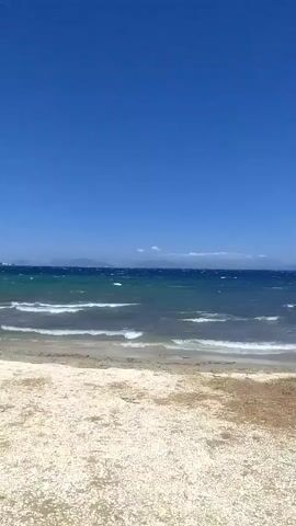 This is a static, medium shot video of a beach on a clear, sunny day. The foreground is a sandy beach littered with small, light-colored shells. The middle ground is the ocean, with moderate waves crashing on the shore. The water transitions from a lighter turquoise near the shore to a deeper blue further out. In the distance, there is a hazy, landmass visible on the horizon under a clear, bright blue sky. There are no people or objects visible in the video.
