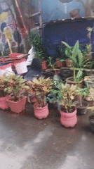 Street-level life in a West Jakarta neighborhood, August 2026