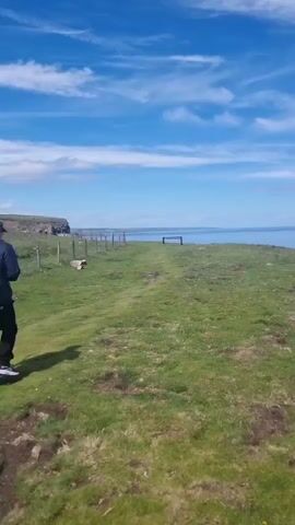 The video shows a panoramic view of a coastal cliffside under a bright blue sky with scattered white clouds. The foreground is dominated by green grass, with some patches of brown earth visible. The camera pans across the scene, revealing the vast expanse of the blue ocean stretching to the horizon. In the middle distance, a rocky outcrop juts out from the cliff. Further along the coastline, more cliffs are visible, and in the far distance, a few people can be seen walking along the clifftop path. The overall impression is one of natural beauty and open space.