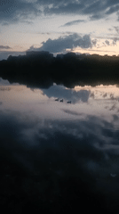 Ducks on calm Minsk water at golden hour