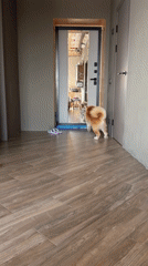 Ordinary domestic life documented in Chaikovsky, Russia Saturday morning