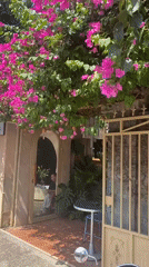 Bougainvillea-lined streets of Mũi Né on a sunny morning
