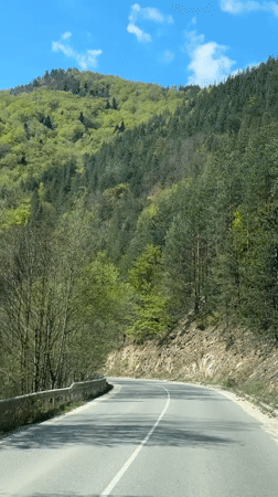 Morning drive captured on winding mountain road in Bulgaria
