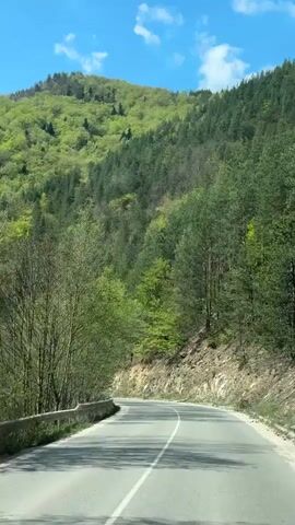 The video captures a scenic drive along a winding asphalt road through a lush green mountainous forest in Grashevo, Bulgaria. The road, marked with a continuous white line, curves gently to the right, with a metal guardrail visible on the left side. Sunlight filters through the trees, casting shadows across the road.

On both sides, dense forests cover the slopes, featuring a mix of deciduous trees with vibrant light green new foliage and darker green coniferous trees. The mountains rise steeply from the roadside, completely covered in vegetation, indicating a healthy ecosystem. The sky above is clear and blue with scattered white clouds, suggesting a bright and sunny day. No people or vehicles other than the presumed recording vehicle are visible. The overall scene depicts a serene and picturesque natural landscape.