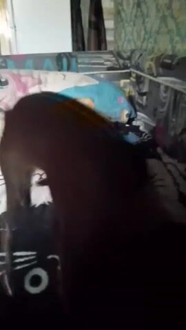 A dark-colored dog with floppy ears and a black nose is on a bed with patterned pillows and blankets. The dog is facing away from the camera, with its head down. The camera is handheld and shaky, with the lighting being dim. The overall scene is blurry.