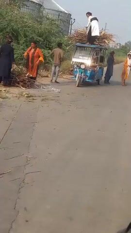 The video shows a group of people loading dry branches onto the roof of an auto rickshaw. Two people stand on the roof of the vehicle and are receiving bundles of branches from people on the ground. The auto rickshaw is blue and has a sign that says "MSA Agency". The road is paved and there are trees and buildings in the background. The sky is clear.