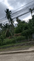 Vehicle journey documented through multiple roadside views and selfie footage