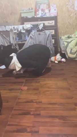 The video shows three children in a room with wooden-panelled walls and a wood-look floor. A girl stands on a bed with a geometric patterned bedspread. A boy without a shirt kicks a blue cup at a seated boy who is blindfolded, causing him to fall back. The girl on the bed is laughing. There is a teddy bear on the bed and a dresser with items on top in the background.