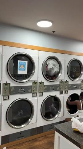 This media file showcases a row of commercial-grade washing machines and dryers, likely in a laundromat. The machines are stacked in two rows. The top row features dryers with glass doors, some of which are open, revealing laundry inside. One dryer door has a small sign with blue and yellow coloring and what appears to be text. The bottom row consists of washing machines, also with large glass doors. The floor is made of wooden planks, and the walls are painted in muted tones of gray and beige. A countertop is visible in the foreground.

In the later frames, the perspective shifts to reveal more of the laundromat. There are additional stacked washer and dryer units in the background. One washing machine in the foreground has a pink plastic bag filled with laundry on top, alongside a small grey dispenser unit. Another plastic bag, this one clear with purple items inside, is also present on top of a washing machine. The overall scene suggests a typical operating day at a laundromat, with machines in use and laundry waiting to be processed. There are no people visible in the media. The lighting appears to be artificial, indicating an indoor setting, possibly during daytime given the bright ceiling light. The location is identified as Lake Delton, USA.