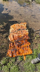 Outdoor barbecue session with fresh fish near wetlands