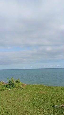 The video captures a serene view of the sea from a grassy clifftop. The scene is dominated by the vast expanse of the ocean, its waters a tranquil shade of blue-green. The horizon is clearly defined, separating the sea from a sky filled with soft, grey clouds interspersed with patches of pale blue. A gentle breeze seems to be present, as indicated by the subtle movement of the waves.

In the foreground, a lush green carpet of grass covers the clifftop, appearing well-maintained and vibrant. A small cluster of green bushes with some white flowers can be seen on the left side of the frame, adding a touch of natural color to the scene. The overall impression is one of natural beauty and peacefulness.

The time of day appears to be daytime, likely late morning or early afternoon, given the brightness of the light and the cloud cover. The weather seems mild, with the clouds suggesting a possibility of occasional sunshine but no immediate threat of rain. The location, Tsukwara, Abkhazia, provides a specific geographical context, hinting at a coastal region with a temperate climate.

There are no people or man-made objects prominently featured in the video, focusing entirely on the natural landscape. The mood conveyed is one of tranquility, calmness, and a connection with nature. There is no visible text within the video frames.