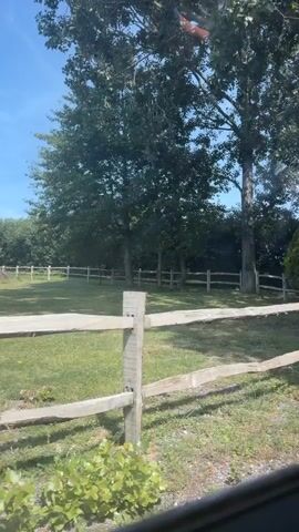 This media file captures a scenic view of a rural landscape, likely in Rother, United Kingdom, on a bright, sunny day. The foreground features a weathered wooden fence, constructed from rough-hewn logs, that encloses a grassy field. Beyond the fence, several large, mature trees dominate the scene, their dense green foliage suggesting a lush, natural environment. The sunlight filters through the leaves, casting dappled shadows on the ground.

The trees are the most prominent objects, with thick, textured trunks and expansive canopies. In the background, a line of similar wooden fences can be seen stretching across the landscape, reinforcing the pastoral setting. The sky is a clear, vibrant blue, indicative of good weather.

No people are visible in the frame. The overall impression is one of tranquility and natural beauty. The image appears to be captured from a moving vehicle, as suggested by the slight blur and the framing at the bottom of the shot, which could be part of a car interior. The time of day is likely midday or early afternoon, given the brightness of the sunlight and the clear sky. The location cues, such as the style of fencing and the mature trees, are consistent with the English countryside. The emotions conveyed are peaceful, serene, and perhaps a sense of enjoying a drive through the countryside. There is no visible text in the media file.